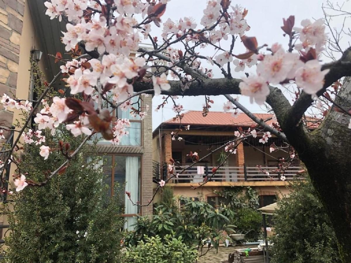 The house behind blossoming trees