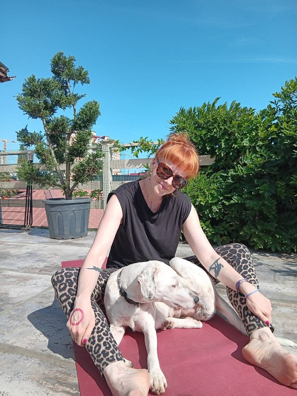 The host sitting on the roof with the family dog
